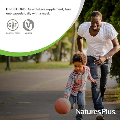 Natures Plus Ultra One Iron Free - 60 Easy to Swallow Capsules - High Potency Once Daily Multivitamin & Mineral Supplement - Natural Energy - Vegetarian, Gluten-Free - 60 Servings