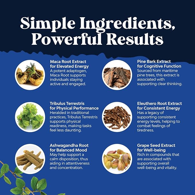 Potent Black Maca Root Capsules for Men - Herbal Wellness Supplement with Siberian Ginseng Ashwagandha and Black Maca Root - Men’s Wellness Supplement to Support General Health (30 Servings)