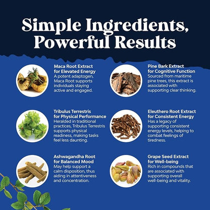 Potent Black Maca Root Capsules for Men - Herbal Wellness Supplement with Siberian Ginseng Ashwagandha and Black Maca Root - Men’s Wellness Supplement to Support General Health (60 Servings)