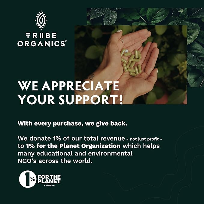 TRIBE ORGANICS Ashwagandha KSM 66 Pure Organic Root Powder Extract Ayurvedic Supplement - Focus Mood Support Increase Energy Strength 600mg of Natural KSM66 for Superior Absorption - 90 Capsules