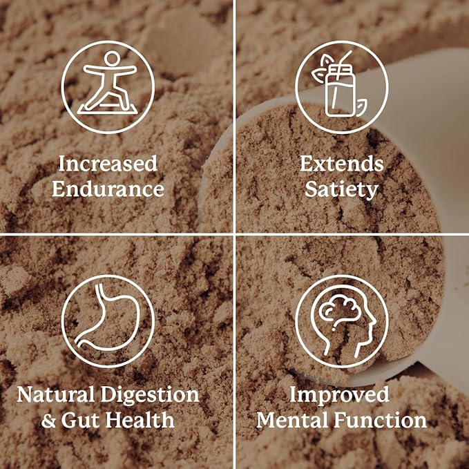 Nature's Sunshine Power Meal, Superfood Whole Body Meal (Chocolate)