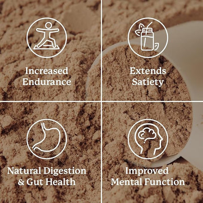 Nature's Sunshine Power Meal, Superfood Whole Body Meal (Chocolate)