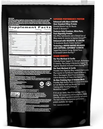 GNC AMP Wheybolic Ripped | Targeted Muscle Building and Workout Support Formula | Pure Whey Protein Powder Isolate with BCAA | Gluten Free | 9 Servings | Chocolate Fudge