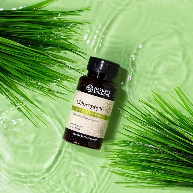 Nature's Sunshine Chlorophyll, 60 Softgel Capsules | Helps Support the Body's Blood-Cleansing Functions and Strengthens the Immune and Intestinal Systems
