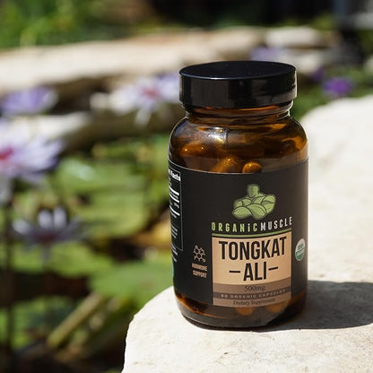 Organic Muscle Tongkat Ali for Men, 500mg - Pure & Potent USDA Eurycoma Longifolia Root Supplement 60 Count – Wild Grown Men's Health Hormone Support for Male Performance, Drive & Energizer