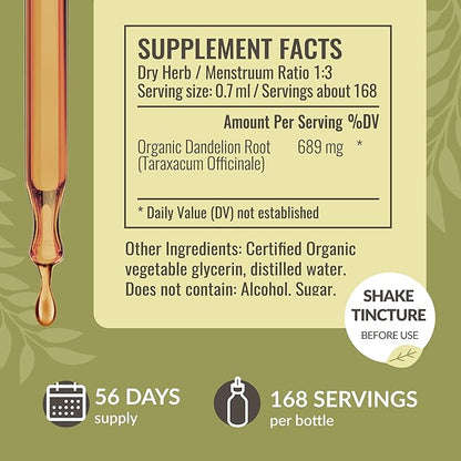 HERBAMAMA Dandelion Root Extract - Dandelion Tincture Vegan Liver Health Supplements - Dandelion Root Liver and Kidney Cleanse Drops - Alcohol & Sugar-Free, 56-Day Supply