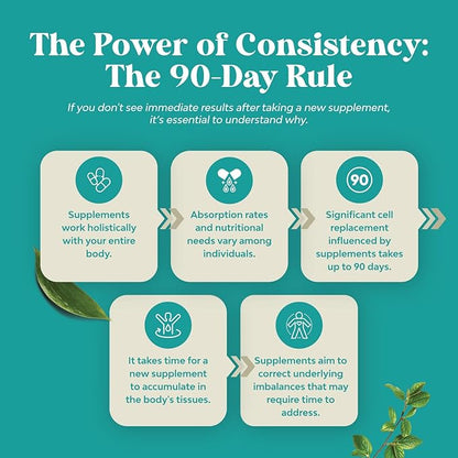 Liver Support Supplement with NAC - Herbal Liver Supplement with N Acetyl Cysteine Silymarin Milk Thistle Extract Dandelion Root Artichoke Extract Choline Bitartrate and Berberine 120 Capsules