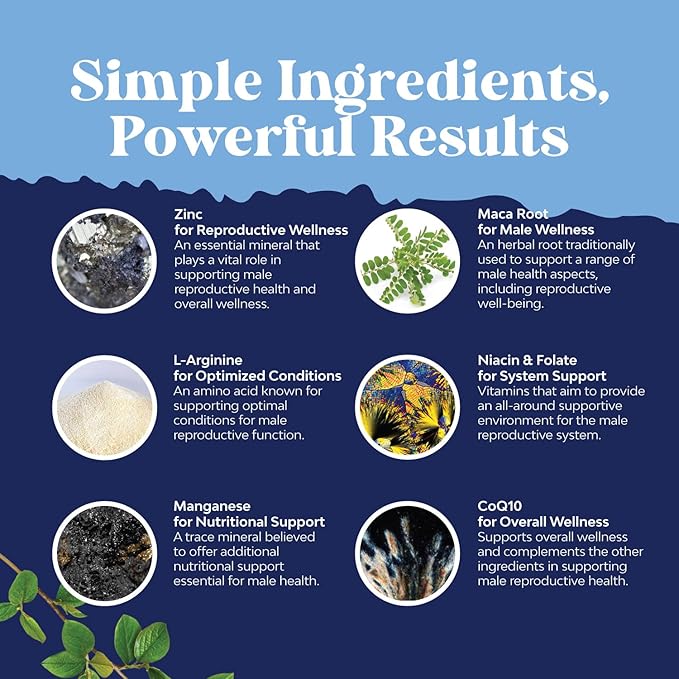 Pre Conception Male Fertility Supplement - Advanced Fertility Supplement for Men with CoQ10 Maca Root Methyl Folate & D-Aspartic Acid for Enhanced Count Motility & Overall Fertility Support (3 Months)