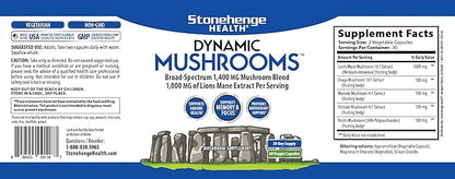 Stonehenge Health Dynamic Mushrooms - 100% Fruiting Bodies & Extracts - Lion’s Mane, Chaga, Maitake, Shiitake, Reishi - Nootropic Brain & Immune System Support - No Mycelium - 60 Veggie Capsules