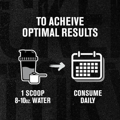 Creatine + ElevATP - Creatine Monohydrate Powder for Muscle Growth, Increased Strength, Enhanced Energy Output, with ElevATP for Sustained Energy & Endurance - 60 Servings, Unflavoured