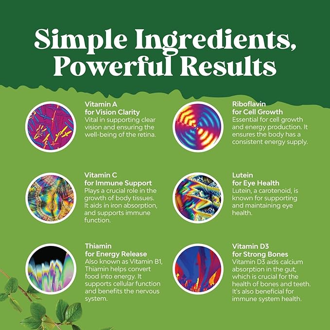 Liquid Multivitamin for Kids Immunity Support - Yummy Toddler Multivitamin Supplement with a C D3 E B6 and D3 Liquid Vitamins for Kids of All Ages - High Absorption Kids Liquid Multivitamin (2 Pack)