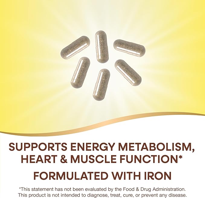 Nature's Way Alive! Max6 Potency Adult Complete Multivitamin, with Iron, Vitamins A, C, E & B-Vitamins Including Methylated B12 & Folate, Supports Energy Metabolism*, 90 Capsules (Packaging May Vary)