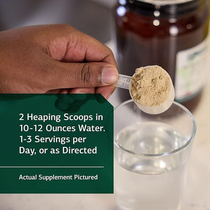 Standard Process SP Detox Balance Chai - Gluten-Free Detox Cleanse Formula with Magnesium, Iron, Creatine, Protein, arginine, Monk Fruit Extract, l-leucine, Choline, Potassium