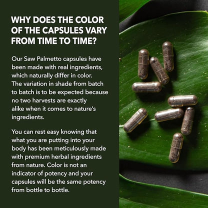 Saw Palmetto For Men Prostate Supplement - Prostate Support Supplement for Men's Health - Potent Saw Palmetto for DHT, Urinary and Prostate Health - Over 3 Month Supply Saw Palmetto Supplement