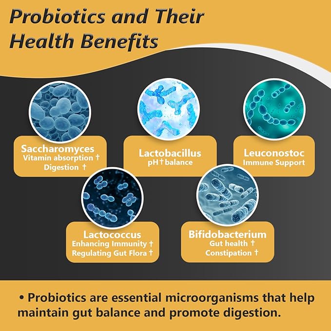 Probiotics with Prebiotics for Men and Women - 35 Strains Organic Probiotic 100 Billion CFU, Vegan Acidophilus Probiotic Supplement, Non-GMO Raw Probiotic 180 Capsules (180 Count/90 Days Supply)