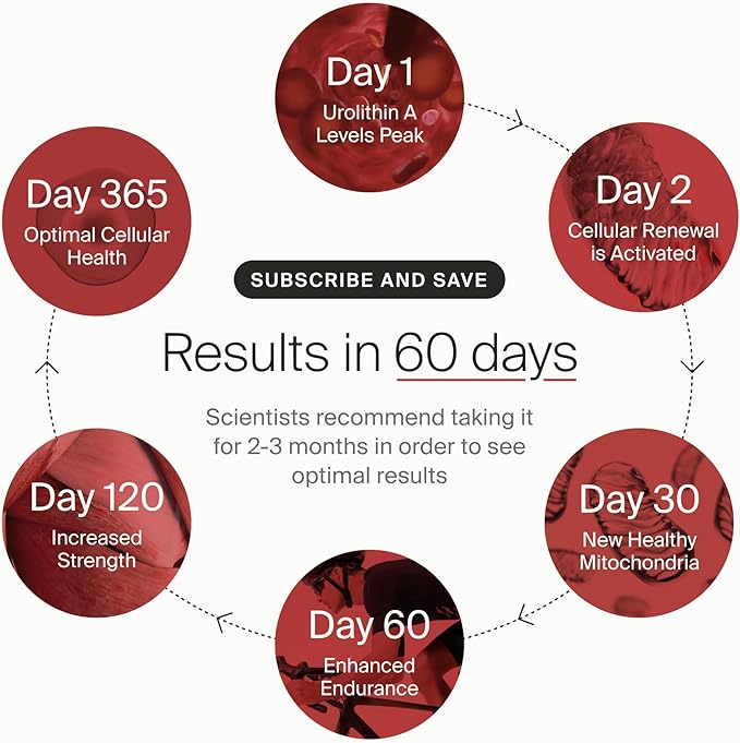 Timeline Mitopure Urolithin A - Clinically Proven Supplement for Healthy Aging and Cellular Renewal - Anti-Aging Mitoceutical for Muscle Strength, Endurance and Longevity - 60 Softgels