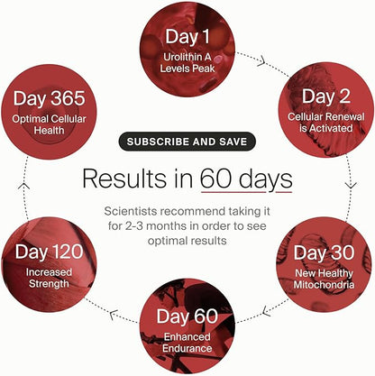 Timeline Mitopure Urolithin A - Clinically Proven Supplement for Healthy Aging and Cellular Renewal - Anti-Aging Mitoceutical for Muscle Strength, Endurance and Longevity - 60 Softgels