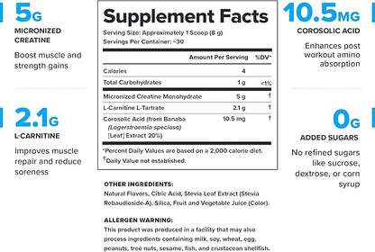 LEGION Recharge Post Workout Supplement - All Natural Muscle Builder & Recovery Drink with Micronized Creatine Monohydrate. Naturally Sweetened & Flavored, Safe & Healthy (Fruit Punch, 30 Serve)