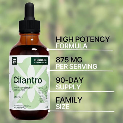 Cilantro Leaf 4 fl oz Liquid Extract - Organic Coriandrum Sativum Drops for Body Cleansing & Detox - Natural Calming Herbal Tincture Supplement for Nervous System - High Potency - 90-Day Supply