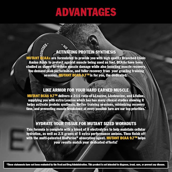 Mutant BCAA 9.7 Supplement BCAA Powder with Micronized Amino Energy Support Stack, 348g - Fruit Punch