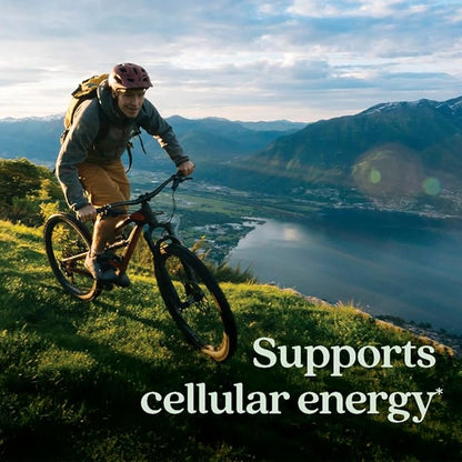 New Chapter® Organic Vitamin B12+ Gummies – 44% Less Sugar§, USDA Organic Vegan B12, Two Daily Gummies for Cellular Energy Support with Cordyceps, Non-GMO, Gluten Free, Raspberry Flavored, 60ct