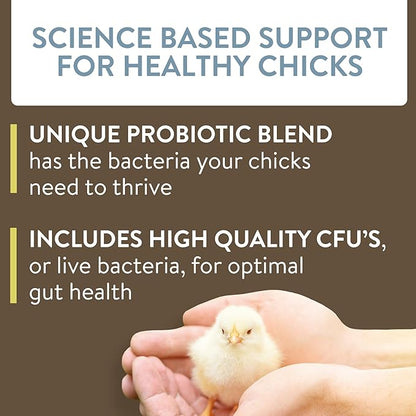 Arrive, Daily Probiotic & Prebiotic Water Supplement for Young Chickens 0-8 Weeks Old, 8 oz (Pack of 2)