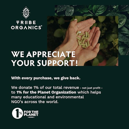 TRIBE ORGANICS Lion’s Mane Supplement 1800mg Mushroom Extract Powder - Immune System Booster & Brain Nootropic for Focus and Memory | Mental Clarity | Natural Energy and Immunity - 120 Vegan Capsules