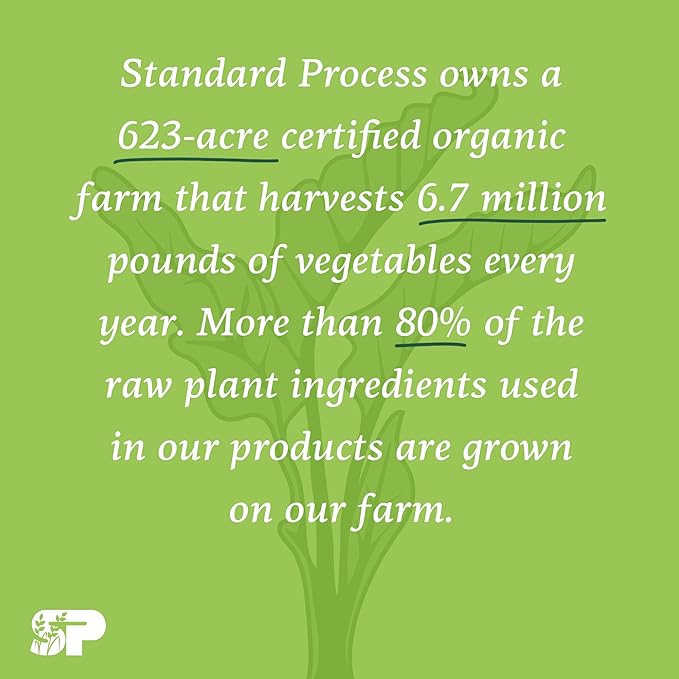 Standard Process StandardBar - Gluten-Free Protein Bar with Whole Food Formula of Calcium, Potassium, and More - Vegetarian - 18 Bar Pack - Cocoa Crisp