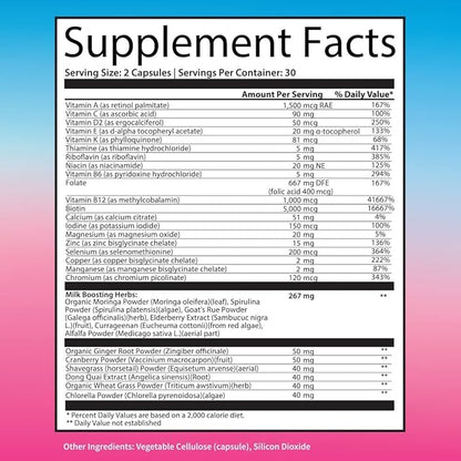 Postnatal Vitamins for Breastfeeding Moms - Lactation Supplement with Organic Herbs, Minerals, Nutrients for New Mothers and Baby - Postpartum Pills for Energy and Mood, Non GMO, Vegan, 60 Capsules