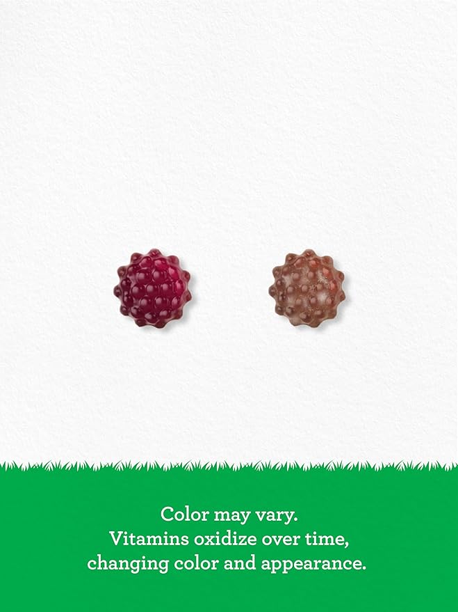 Carlyle Elderberry Gummies for Kids | 120 Count | Zinc and Vitamin C | Berry Flavor | Vegan, Non-GMO, and Gluten Free | by Lil' Sprouts