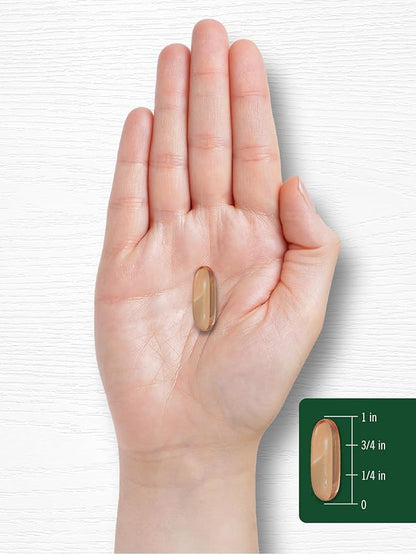 Carlyle Lecithin Supplement | 2400mg | 240 Softgel Capsules | Phospholipid for Men & Women | Non-GMO, Gluten Free