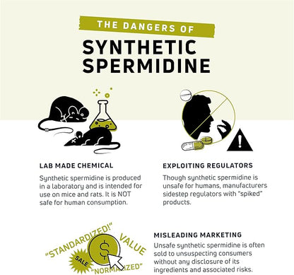 spermidineLIFE Natural Supplement, Plant-Based, Wheat Germ Extract with High Spermidine Content and Zinc for Cell Renewal, Vegan-Friendly, 60 Capsules