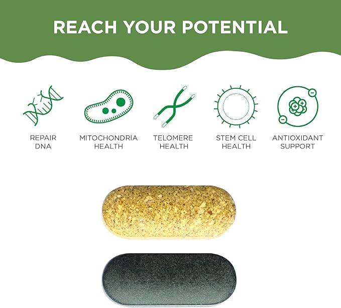 Healthycell AM PM, Natural AntiAging Multivitamin for Men, Women, Supports Cell Health, Stem Cells, Energy, Sleep, with Vegetarian Whole Food Vitamins, Antioxidants, Probiotics (30 Servings)