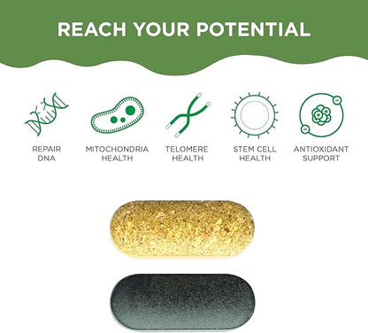 Healthycell AM PM, Natural AntiAging Multivitamin for Men, Women, Supports Cell Health, Stem Cells, Energy, Sleep, with Vegetarian Whole Food Vitamins, Antioxidants, Probiotics (30 Servings)