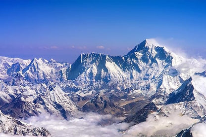 Antler Farms - 100% Pure PrimaVie Shilajit for Men Extract, 60 Capsules, 250mg – Standardized to 50% Fulvic Acid, Wild Harvested Resin from The Himalayas, Powerful Adaptogenic Supplement