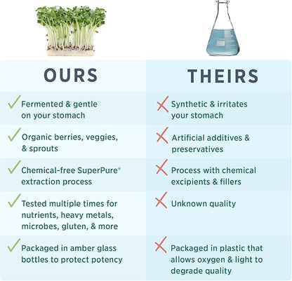 PURE SYNERGY Zinc Complex | Zinc Immune Support Supplement | Natural, Vegan Zinc Complex with Vitamin C and Organic Whole Foods | for Immune, Brain, and Skin Health (60 Capsules)