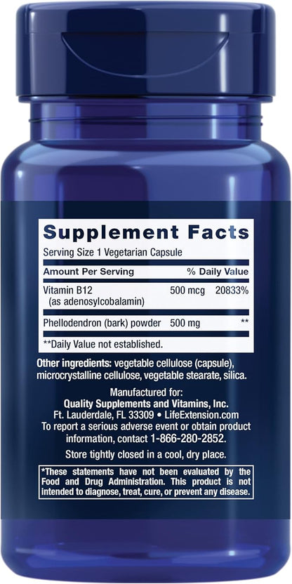 Life Extension Dopamine Advantage - Phellodendron Bark Supplement with Vitamin B12 - for Youthful Dopamine Levels and Brain Health - Gluten-Free, Non-GMO, Vegetarian - 30 Capsules