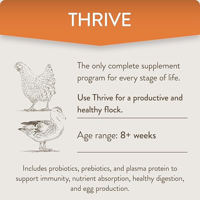 Thrive, Daily Probiotic & Prebiotic Poultry Supplement for Chickens 8+ Weeks Old, 8 oz