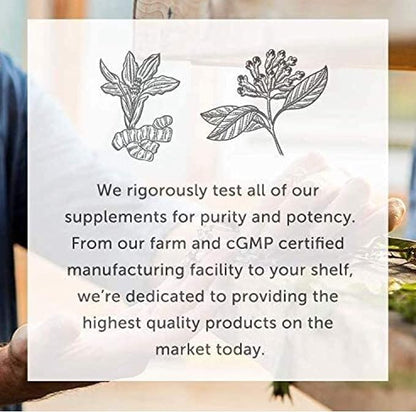 Global Healing Organic Super Greens Powder Blend - Greens Superfood Powder with 15 Raw Whole Sprouts - Delicious Green Juice Smoothie Mix for Daily Nutrition - Non-GMO, Gluten-Free Greens Supplements