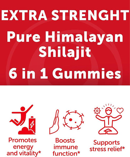 Lunakai USA Made Pure Shilajit Gummies 1200mg with Ashwagandha, Chaga, Vitamin C & D3 - Himalayan Shilajit for Men & Women, Energy & Vitality, 60ct