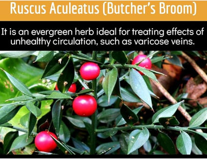 Clinical Daily Blood Circulation Supplements. Butchers Broom, Horse Chestnut, Hawthorn, Cayenne, Arginine, Diosmin Varicose Veins Treatment for Legs. Poor Circulation and Vein Support. 180 Capsules.