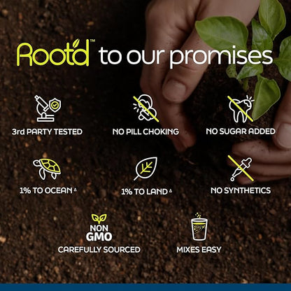 Root'd Multivitamin Powder for Men - 24 Vitamins & Minerals with 3X Electrolytes, 9 Organic Superfoods, Probiotics & Enzymes, Sugar-Free Multivitamin & Hydration | 15 Vitamin Drink Mix Packets