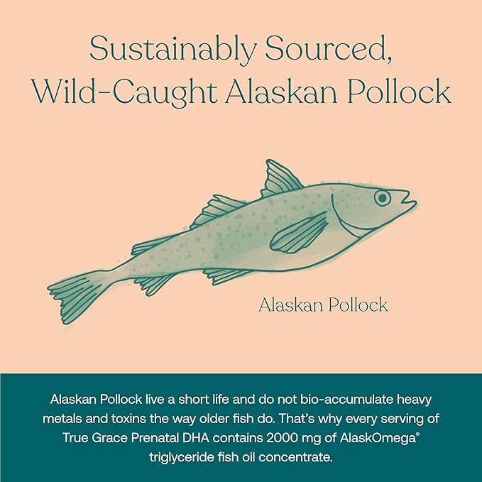 True Grace Prenatal DHA - 60 Softgels - 1400mg of DHA & EPA - for Pre-Conception, Pregnancy & Lactation - Wild Caught & Sustainably Sourced - Gluten Free - 30 Day Supply
