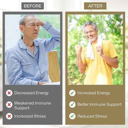 Vita Green Yin Yang Cordyceps Mycelium Herbal Supplement - Supports Respiratory Wellness, Energy, and Liver & Kidney Health - 60 Capsules