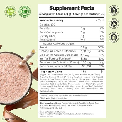 Plant Based Protein Powder - 25 g Vegan Protein Powder with 30 Servings - Blended Rice & Pea Protein Powder with Superfoods & Amino Acids - Zero Sugar Protein Shake Powder - Chocolate