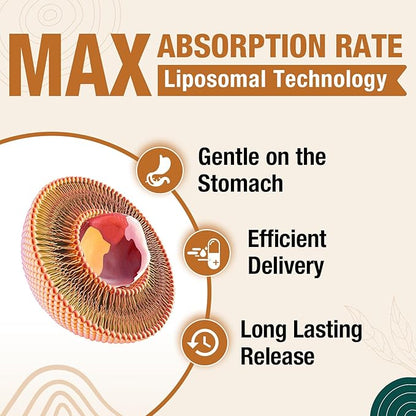 Liposomal Brain Supplements for Memory and Focus - Plasmalogen with Curcumin & Vitamin E for Better Absorption- Suitable for Seniors,Adult Men & Women Cognitive Health,High Potency 60 Servings