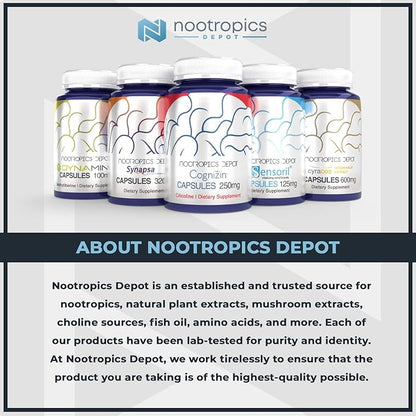 Nootropics Depot Acetyl L-Carnitine Capsules | 500mg | 180 Count | HCL Form | Energy Supplement | Supports Mitochondrial Function | ALCAR HCL