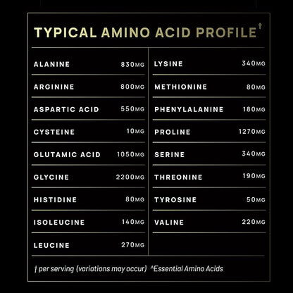 ELMNT Super Collagen Powder for Women Weight Loss + Beauty w. Probiotics, Hyaluronic Acid, ACV, KSM-66, Biotin - Premium Multi Collagen Peptides Protein Supplement Colageno for Women (Unflavored)