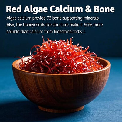 Calcium Gummies 600mg - Ocean Algae Calcium | Vitamin D3, K2, Magnesium, B6 for Bone Strength, Muscle & Immnue | Sustainably Sourced Plant Based Calcium Supplement, 70+ Trace Minerals, Vegan, 2 Pack