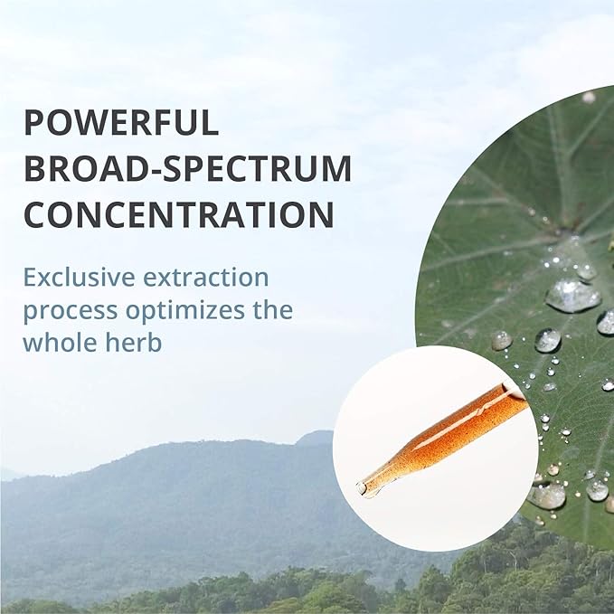 NutraMedix Cowden Support Program Month 6 - Bioavailable Herbal Detox Protocol Including Banderol, Burbur-Pinella, Samento Cat's Claw, Parsley, Houttuynia Tincture, Magnesium & More (15 Piece Set)